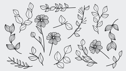 Poster - Plant nature hand drawn set. Collection botanical element.Vintage style.