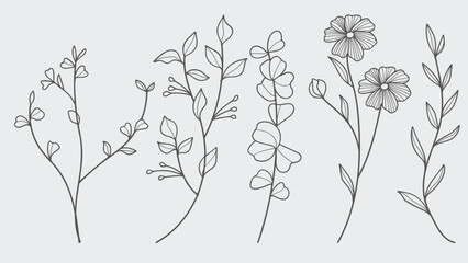 Wall Mural - Hand Drawn Twigs with Leaves in a Botanical collection.Vector illustration