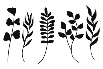 Wall Mural - Botanical black leaf and branch silhouette collection. Vector illustration.