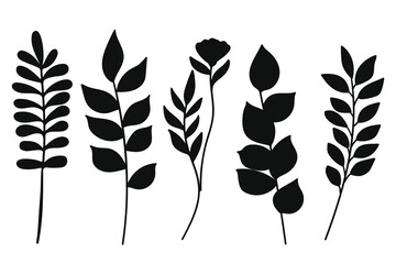 Wall Mural - Botanical black leaf and branch silhouette collection.