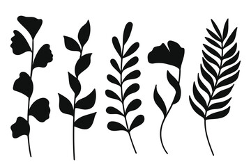 Wall Mural - Botanical black leaf and branch silhouette set