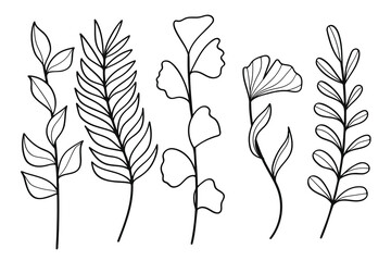 Poster - hand drawn line art botanical leaf and floral elements collection. vector illustration.