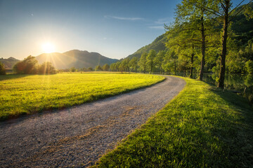 Wall Mural - sun setting behind mountains illuminating gravel road winding through green grass field next to a ri