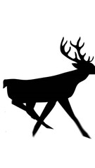 Poster - Digital animation of black silhouette of reindeer running against white background