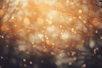 Poster - Dreamlike golden bokeh effect illuminating tree branches creating a magical and enchanting forest scenery