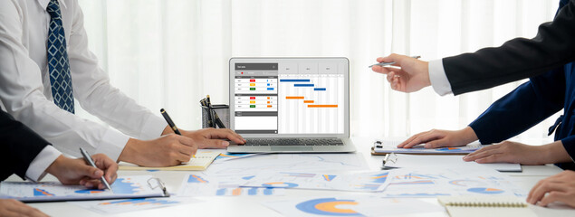 Poster - Project planning software for brisk business project management on the computer screen showing timeline chart of the team project
