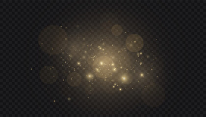 Aufkleber - Vector illustration of glowing golden glitter and glowing dust bokeh on transparent background. For holiday and Christmas design