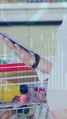 Poster - Animation of financial data and graphs over hands of caucasian woman shopping with tablet