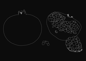 Poster - A pomegranate and sliced pomegranate outline drawn with clean white vector lines on a black background. The illustration features detailed contours, a minimalist style, and high contrast for a modern.