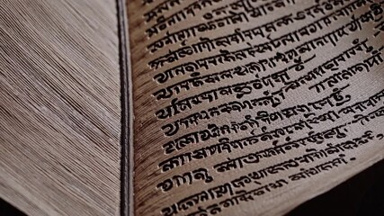Exploring ancient script on palm leaves in a traditional setting in India