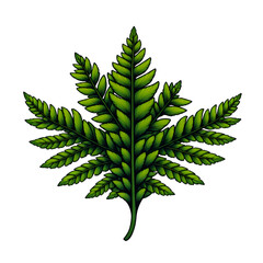 Aufkleber - Illustration of a green fern leaf with many leaflets symmetrically arranged on transparent background