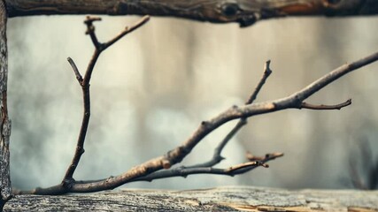 Poster - A small bird is perched on the branch of a tree