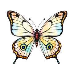 Poster - Illustration of a butterfly with yellow and blue wings in full view on transparent background