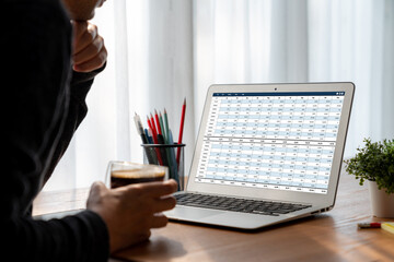 Poster - Accounting software on computer screen showing financial statement spreadsheets and account balance of corporate business offer accountant a fine calculation accounting snugly