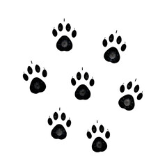 Poster - A dark background featuring several faint circular shapes arranged in a scattered pattern across the space on transparent background