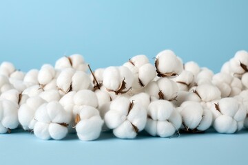 Poster - Fluffy cotton flowers arranged on a blue backdrop, symbolizing natural comfort and textile production