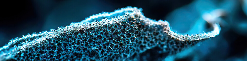 Poster - Close-up of Porous, Bubbled Surface Texture