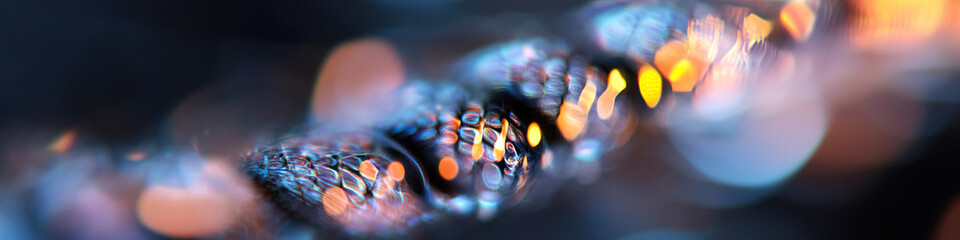 Poster - Abstract Iridescent Texture with Bokeh Lighting