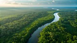 Lush green forest canopy with winding river under soft sky jungle water