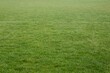 © vectorfusionart - large green grass field is being shown in flat vector illustration, with faint white pitch marking