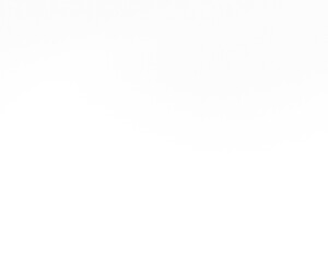 Poster - white gradient overlay transparent background