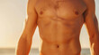 © Katewaree - Male Torso at the Beach During Sunset with Warm Light and Calm Waves in the Background
