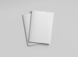 © sdecoret - Two isolated magazine covers Mockup on white background with soft shadows. 3D rendering
