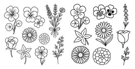 Poster - Set of flower drawings in black and white. The flowers are arranged in a way that creates a sense of harmony and balance. Scene is peaceful and serene, with the flowers representing the beauty