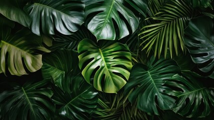 Lush Indoor Jungle with Vibrant Green Monstera Leaves and Tropical Palm Foliage, Elegant Home Decor