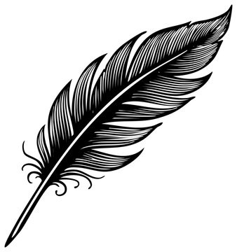 Stylized White Feather Illustration on Black Background, elegant design element for invitations, text or graphics overlay