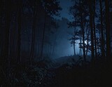 Dark, misty forest at night