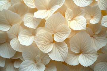 Poster - Ai generated minimalistic image of white flowers blossom