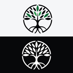 Fototapete - The tree of life symbol is designed with green leaves isolated on white background