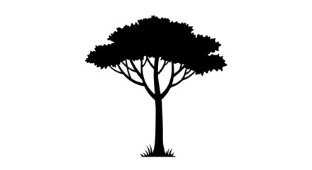 Poster - Silhouette of an acacia tree: A majestic acacia tree stands tall and proud against a white background. Its silhouette is a striking image of strength and resilience.