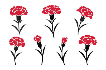 Poster - Elegant Carnation Flower Vector Illustration Set: Delicate Floral Designs for Invitations, Greetings & Decorations, perfect for creative botanical projects.