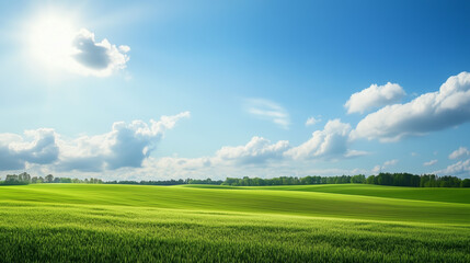 Wall Mural - green field and blue sky. field and clouds