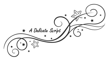 Poster - Star swirl design vector illustration with elegant curves and decorative elements for graphic design projects