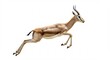 © Martin - Gazelle �l�gante bondit gracieusement fond blanc lumi�re naturelle. AI Generated