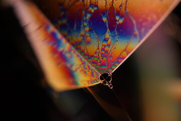 Fototapete - Multicoloured liquid shapes, chemical abstraction 