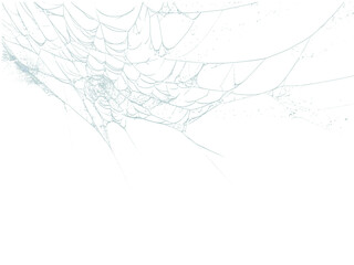 Wall Mural - A delicate spiderweb glistens against a dark backdrop, showcasing intricate patterns ideal for graphic design overlays or textures, transparent background