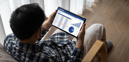 Poster - Spreadsheet document information financial startup concept. data and graphs in spreadsheet documents for online analysis project dashboard accounting digital snugly