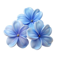 Fototapete - Three light blue flowers cluster isolated on transparent background