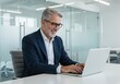 © shahida  - Smiling businessman with gray hair and glasses working on a laptop in a modern office environment