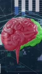 Poster - Animation of human brain, data processing and statistics over globe
