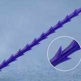 Close-up of a purple polydioxanone PDO thread with barbs on blue background, detailed texture, medical cosmetic suture for skin lifting, aesthetic surgery concept.
