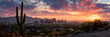 © Daniel - Phoenix Arizona Skyline at Sunset, Cactus Foreground, Documentary Photography Style