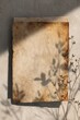 © FachAI - Aged paper with plant shadow and dried flowers on textured background, bathed in sunlight