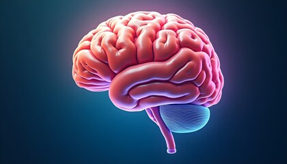 Poster - 3d illustration of a human brain, symbolizing intelligence and neural networks.