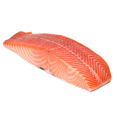 Realistic plastic salmon fish model isolated on white background perfect for display or educational use
