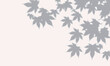 © ECcribute - Maple Leaf Shadow Background – Soft Pink Autumn Illustration